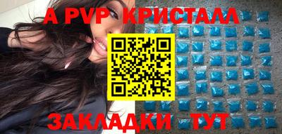 крисы Кингисепп