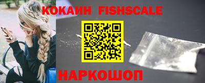 крисы Кингисепп