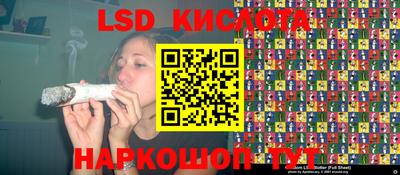 крисы Кингисепп