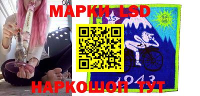 шишки Кимры