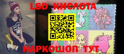 шишки Кимры