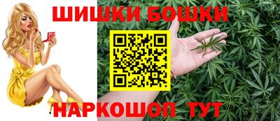 крисы Кингисепп