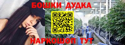 шишки Кимры