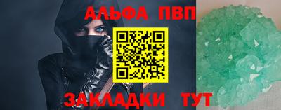 крисы Кингисепп