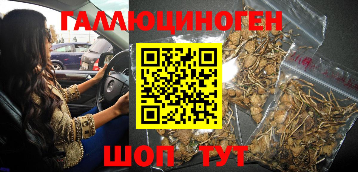 Галлюциногенные грибы Psilocybe Ливны