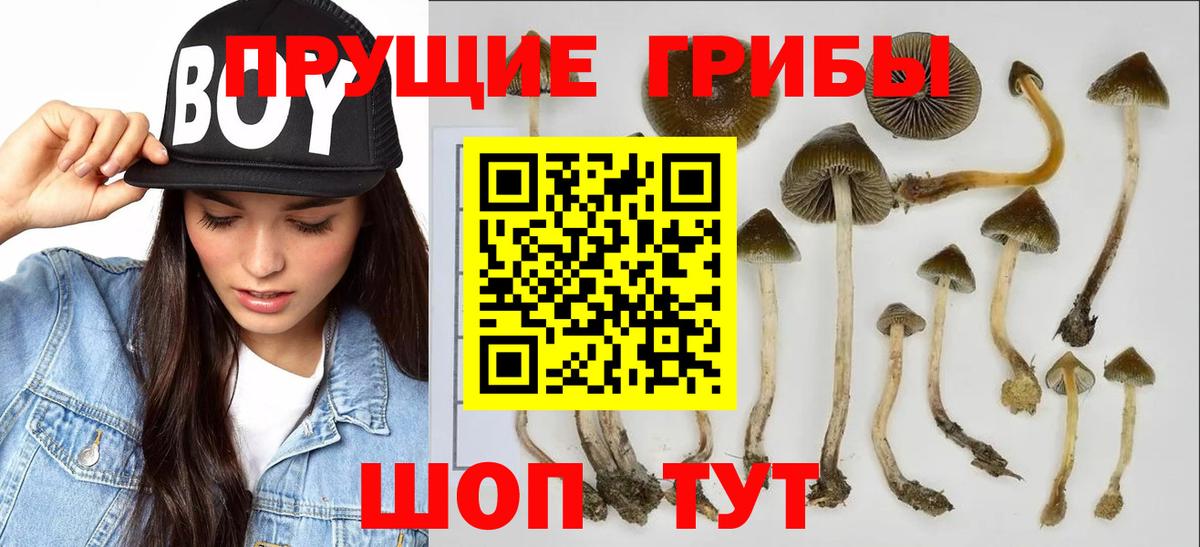 Псилоцибиновые грибы мицелий  Вход с VPN  Ливны 